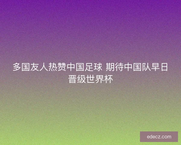 多国友人热赞中国足球 期待中国队早日晋级世界杯
